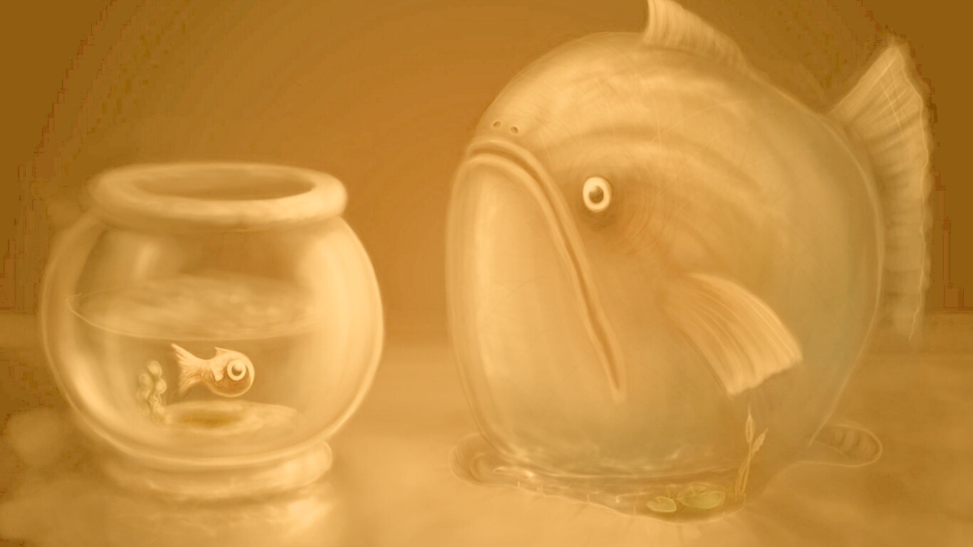 Большая и маленькая рыбки обои