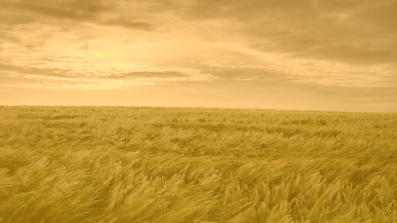 Море трав обои