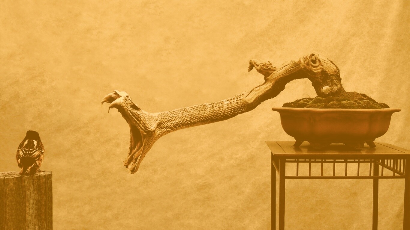 Змея-коряга напдает на птичку обои