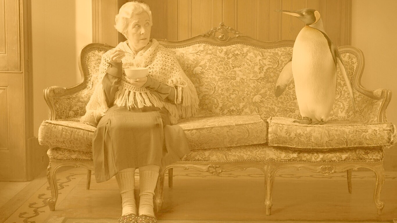 Соседи по дивану обои