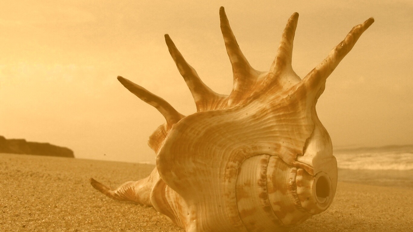 Раковина с гребнем обои