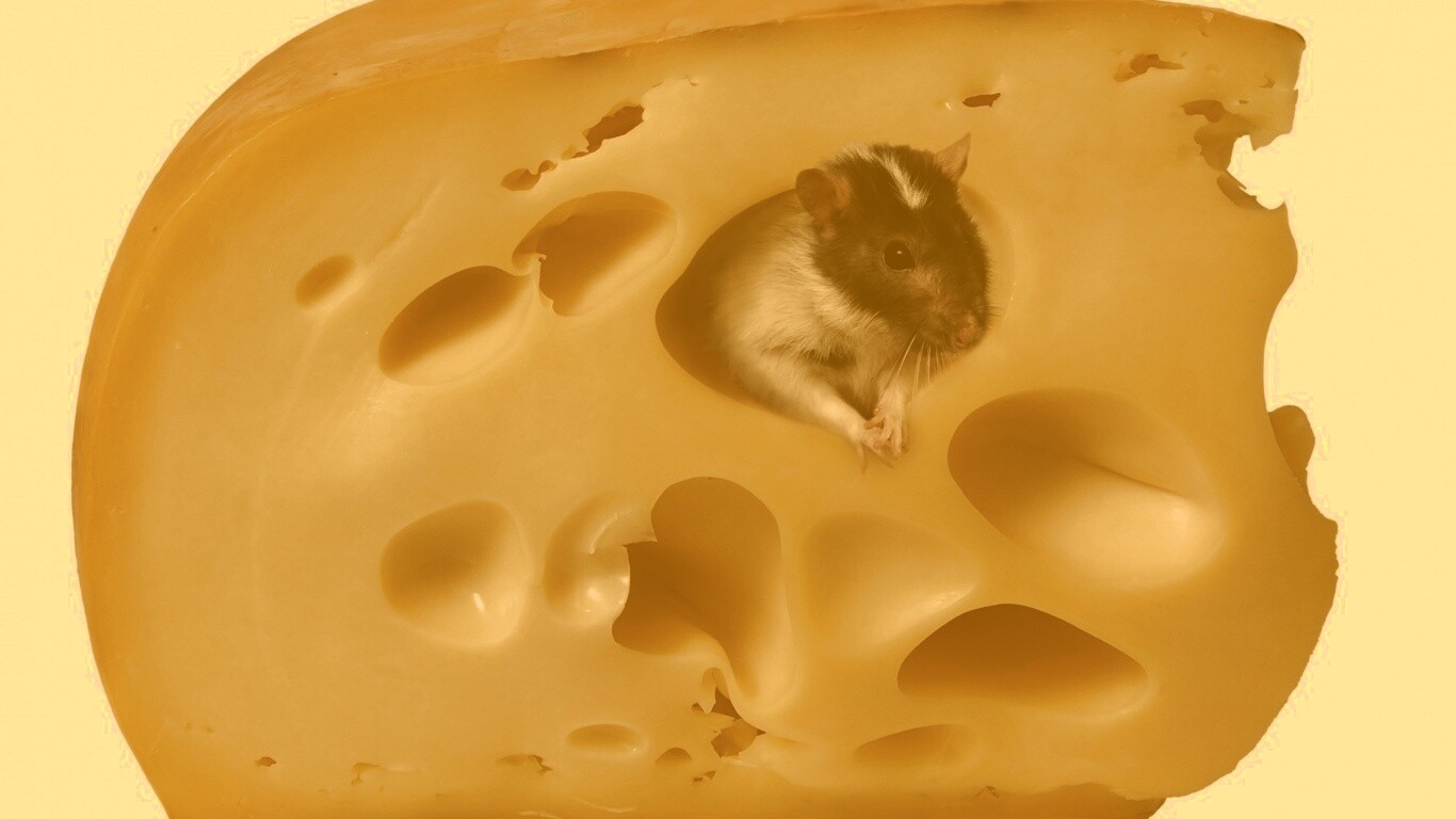 Мышка в сыре обои