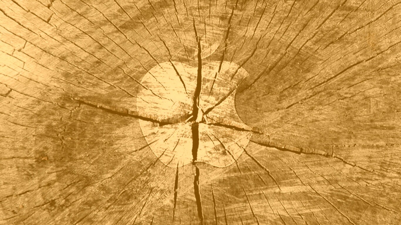 Логотип Apple на бревне обои