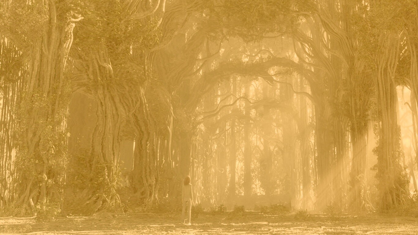 Одна в сумеречном лесу обои