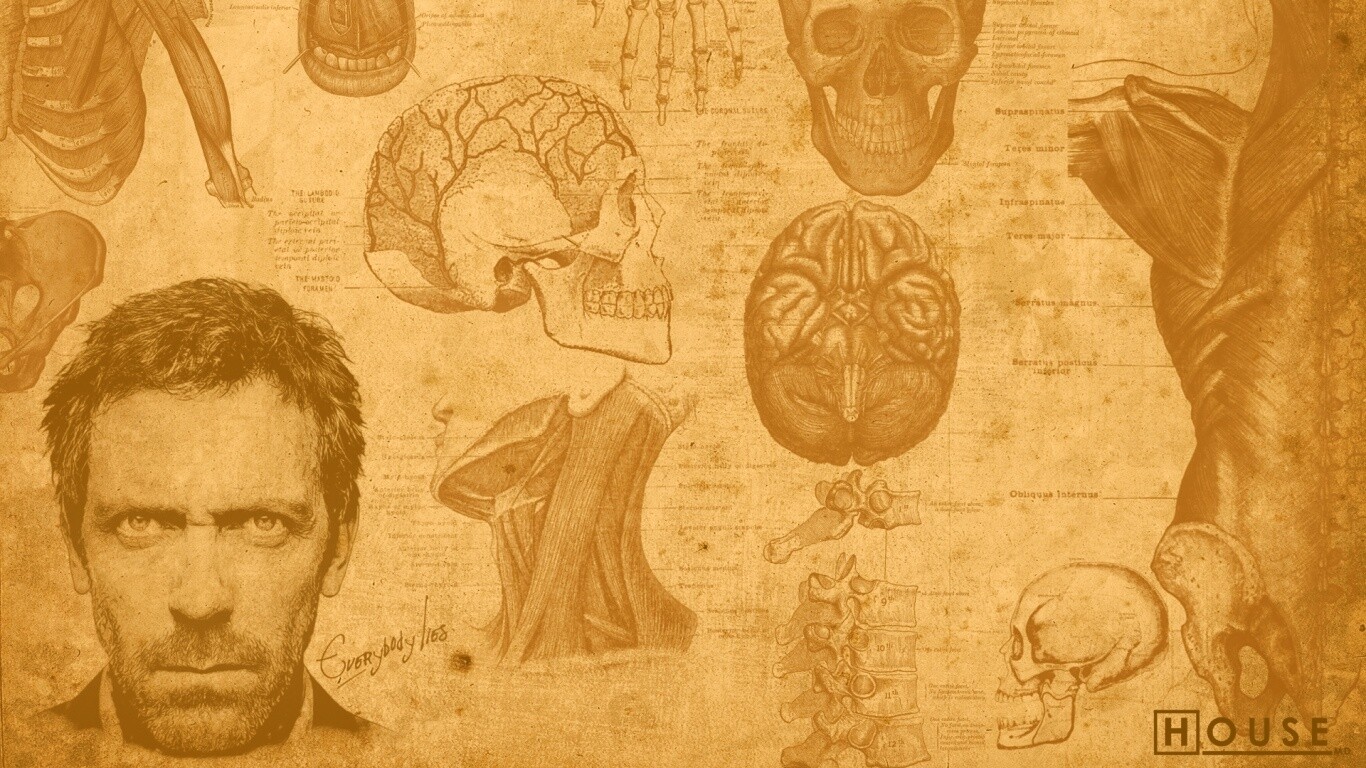 Анатомические рисунки доктора Хауса обои