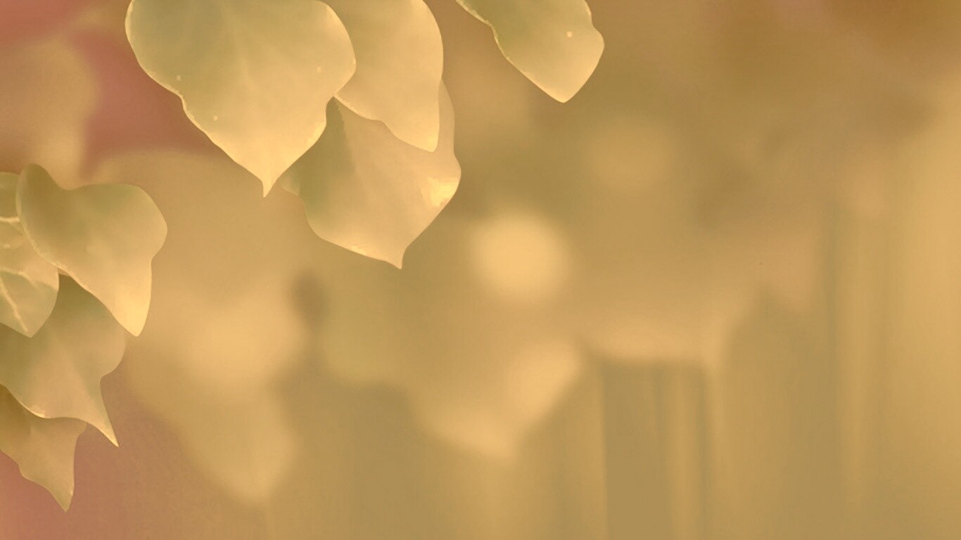 Синие листья обои