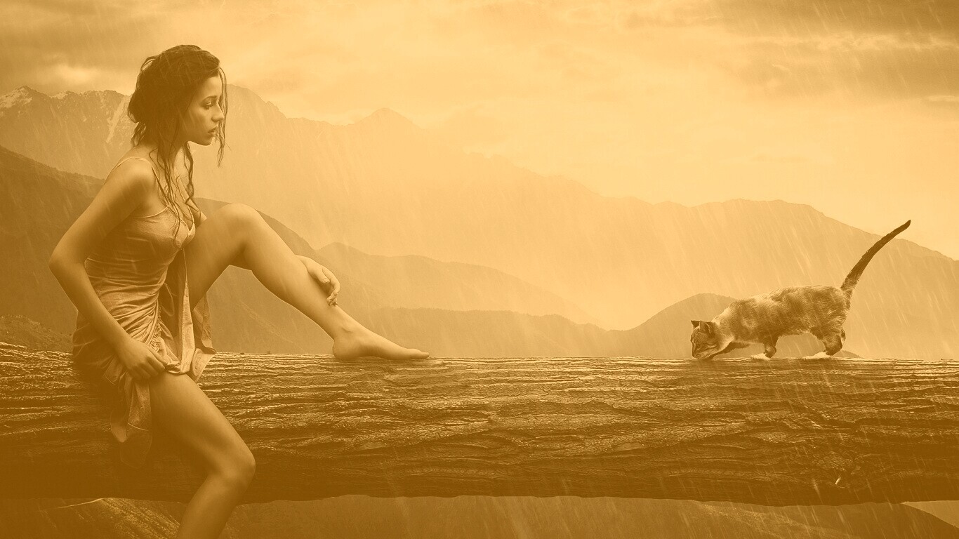 Девушка и кошка обои