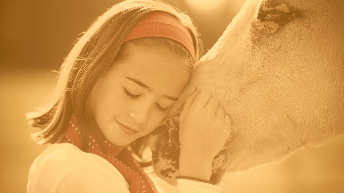 Девочка и лошадь обои