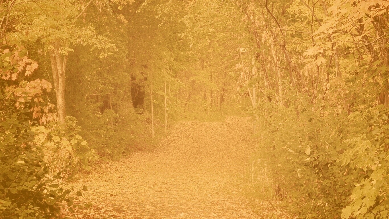 Дорожка в осеннем лесу обои