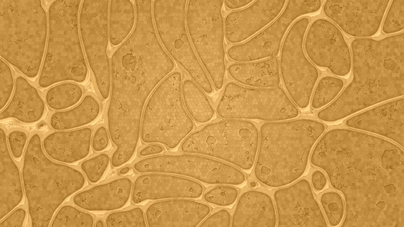 Абстрактные обои обои