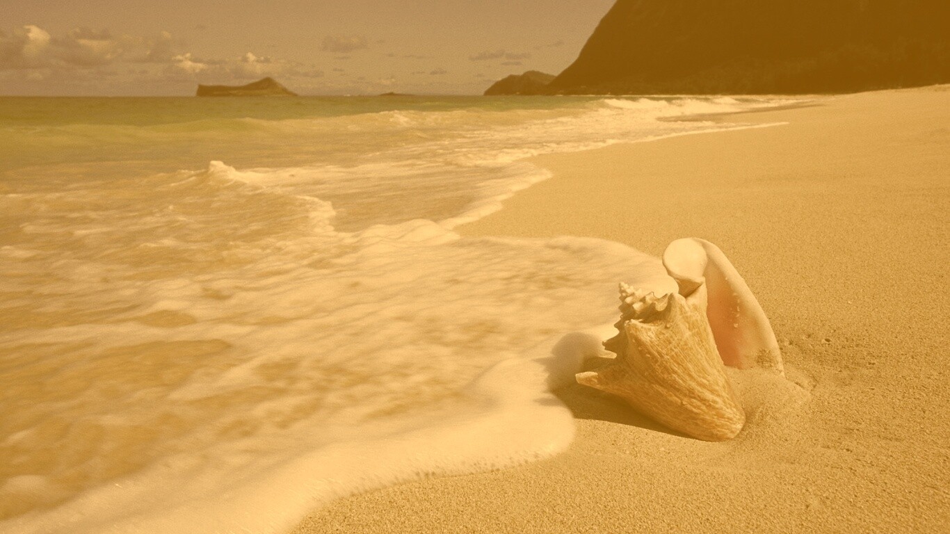 Морская раковина обои