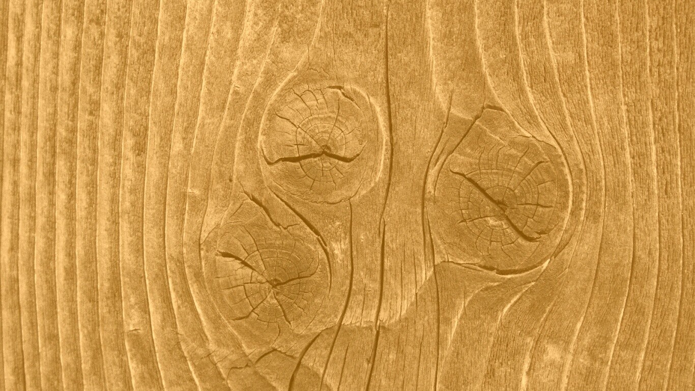 Сучковатое дерево обои