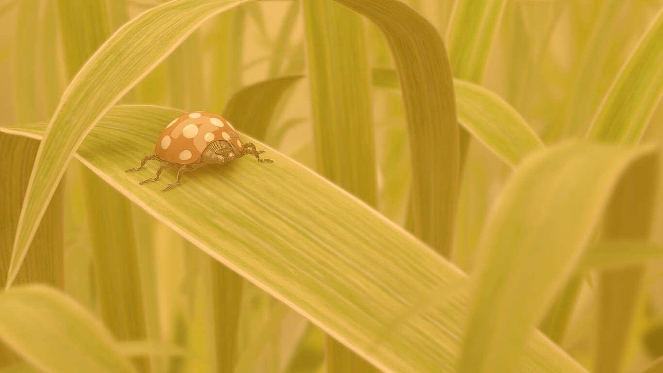 Милая божья коровка робот обои