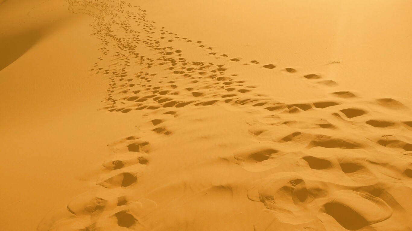 Следы в пустыне обои