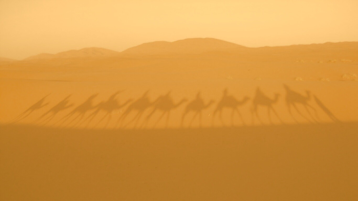 Караван обои