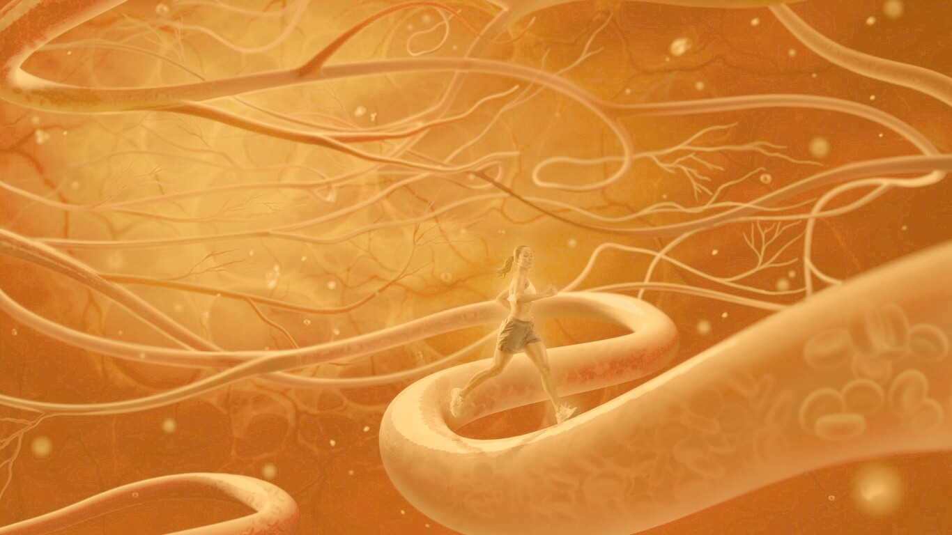 Бег крови обои