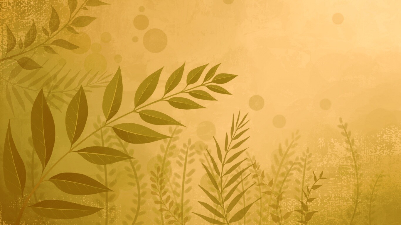 Веточка молодых листьев обои