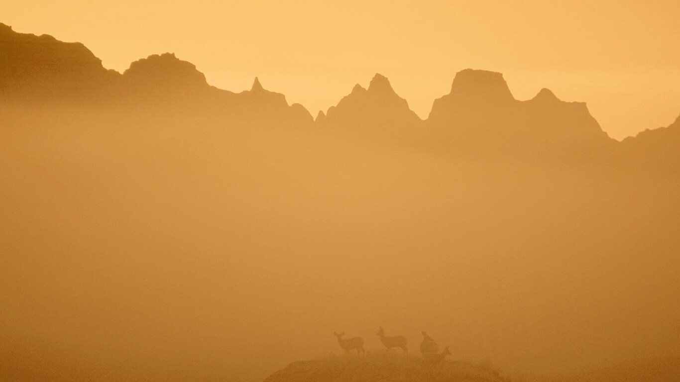 Вечер в национальном парке обои