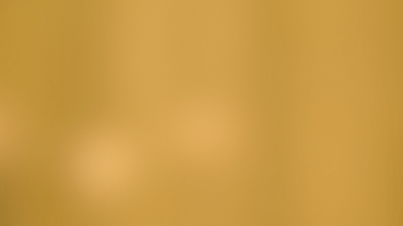 Заросли Бамбука обои