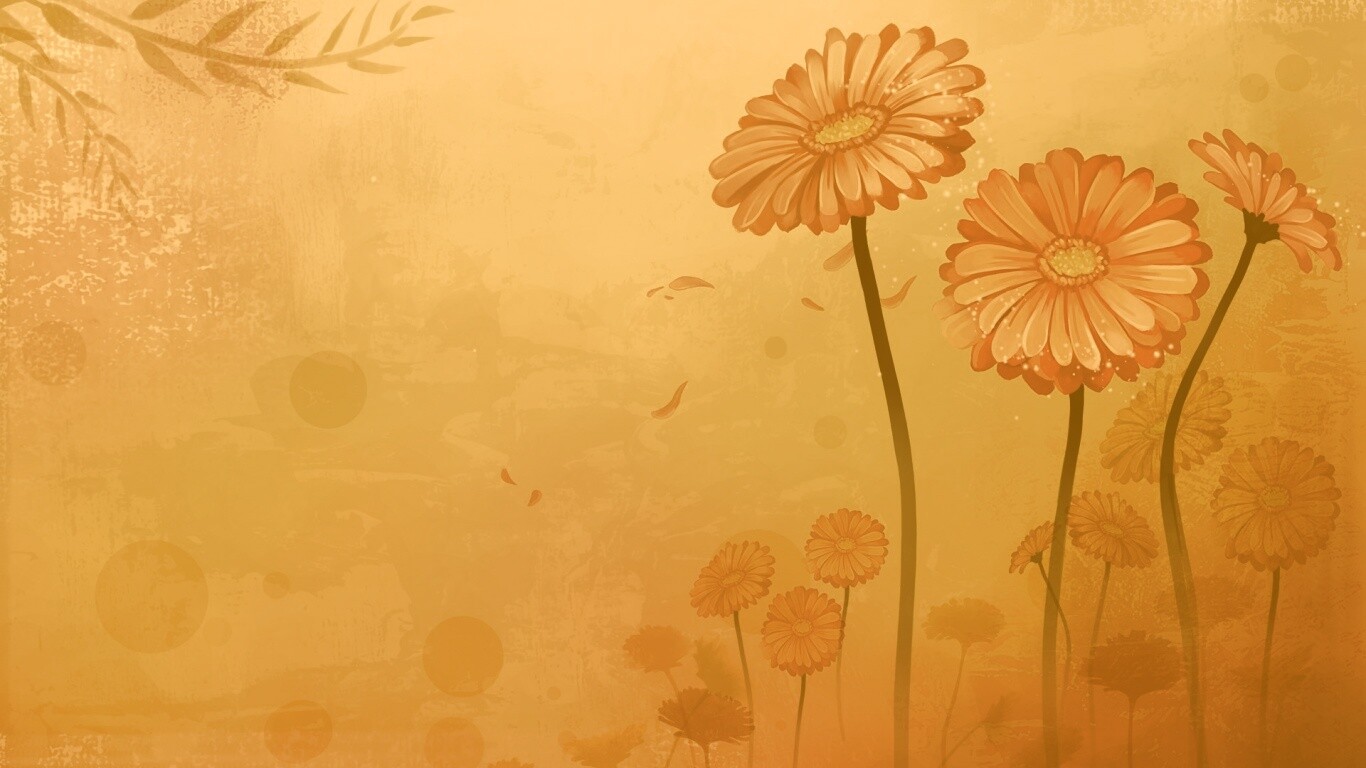 Векторные ромашки обои