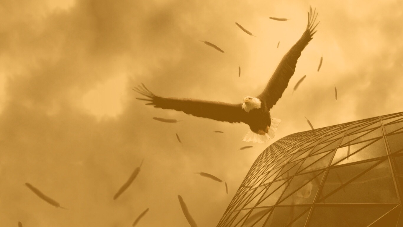 Орлиный полет обои