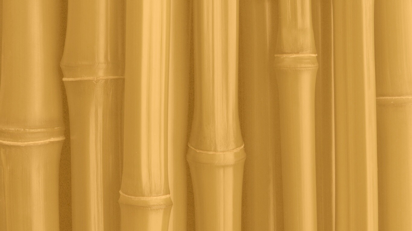 Бамбуковая роща обои