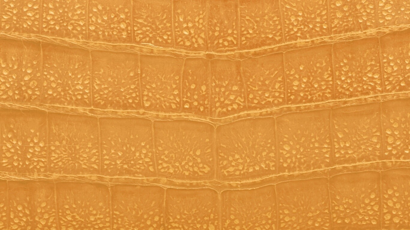 Текстура крокодильей кожи обои