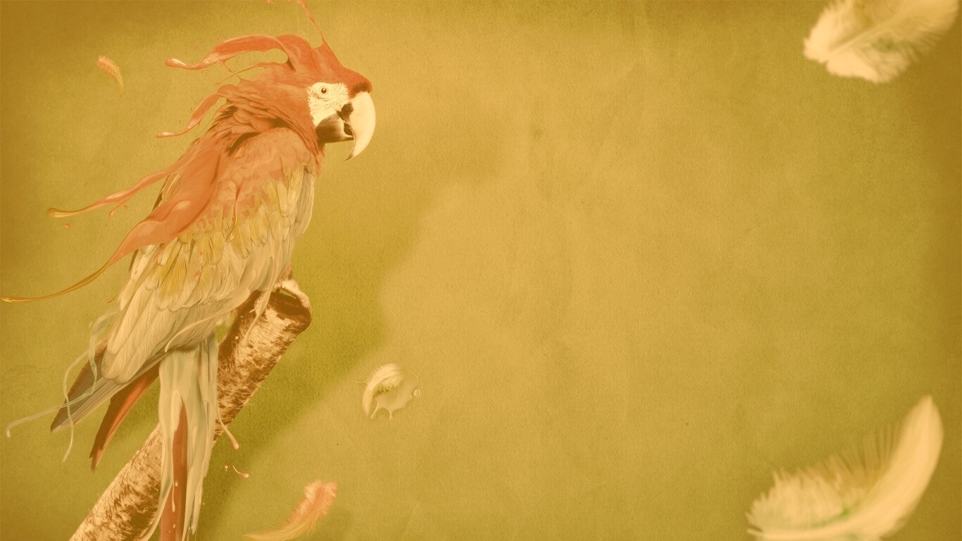 Попугай на ветке обои