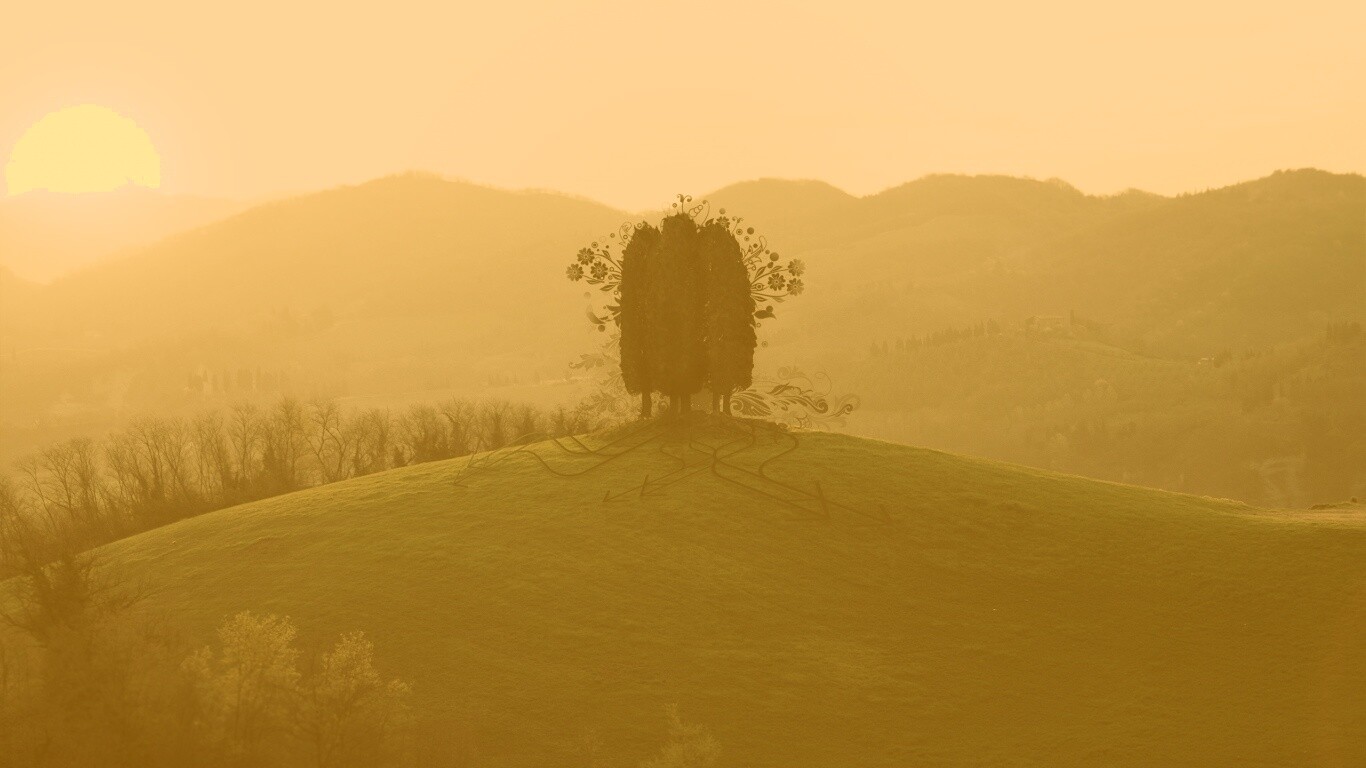 Деревья на холме обои