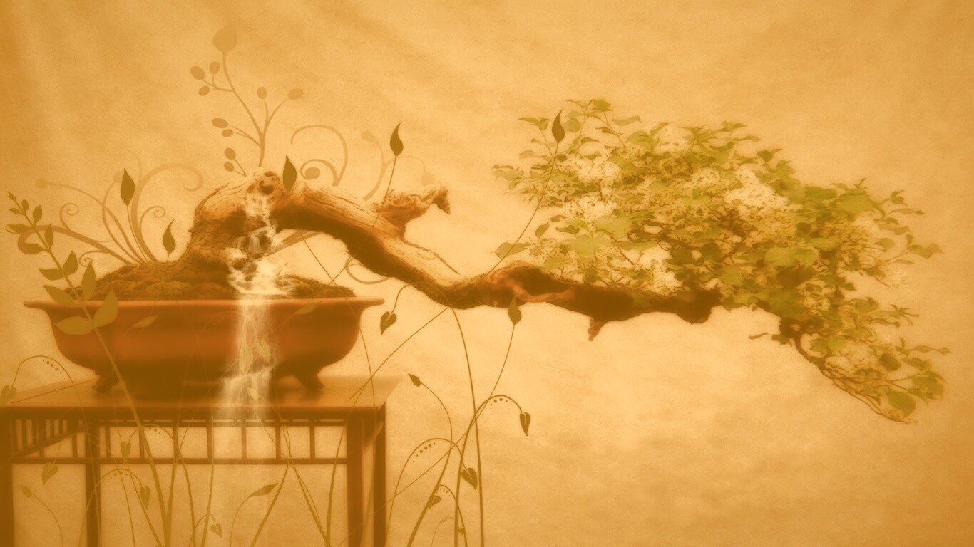 Карликовое дерево обои