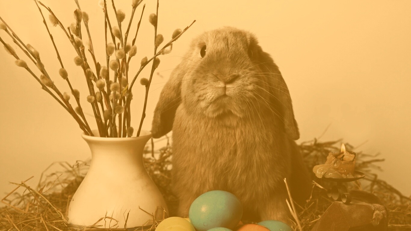 Пасхальный кролик обои