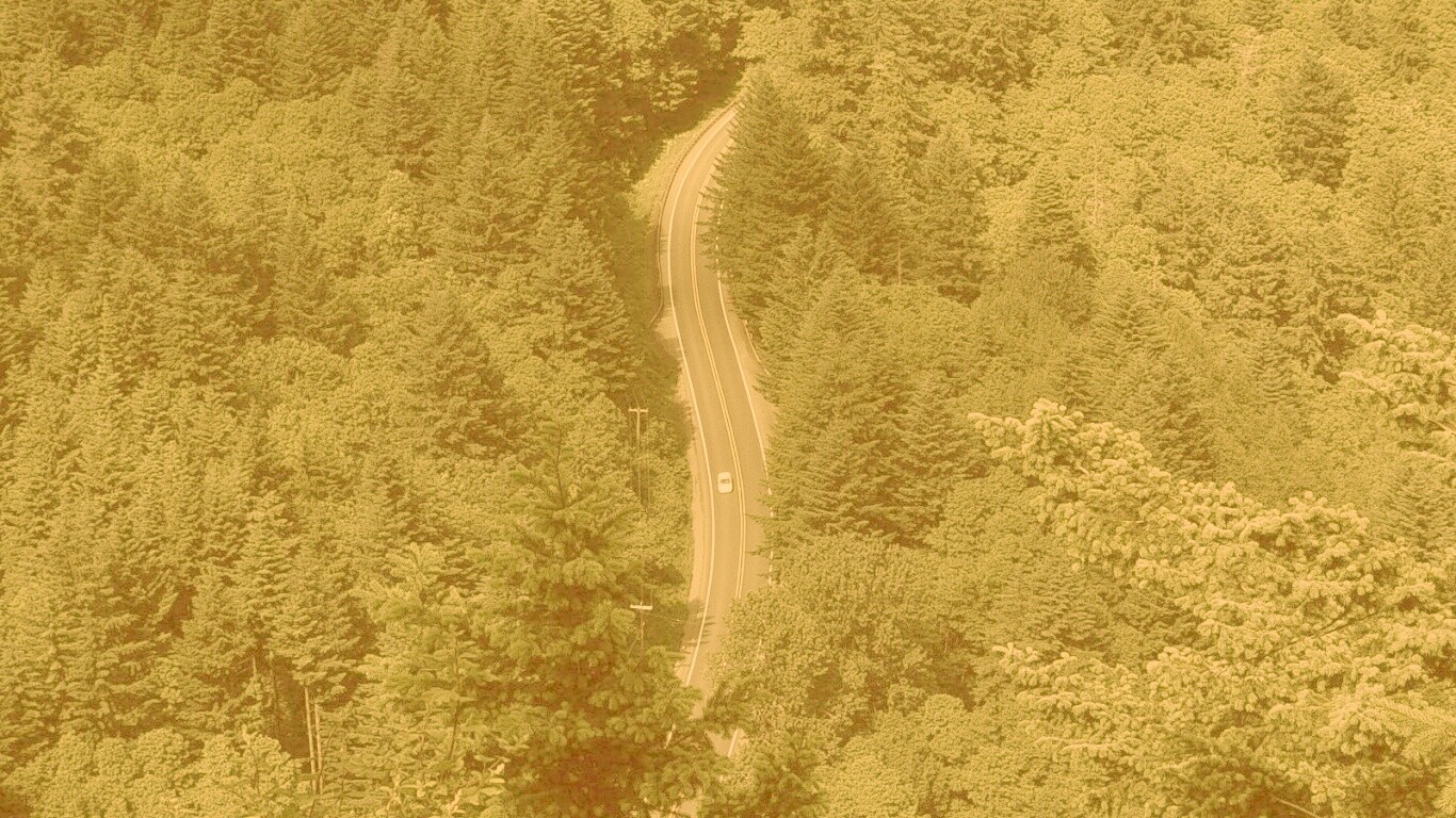 Лесная трасса обои