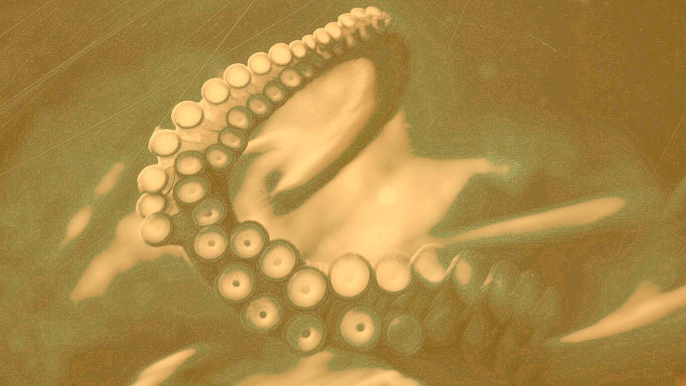 Щупальце обои