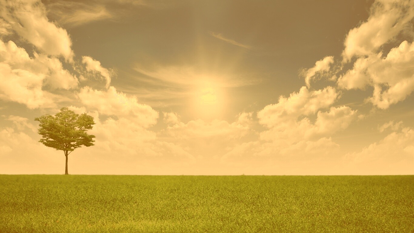 Один в целом мире обои