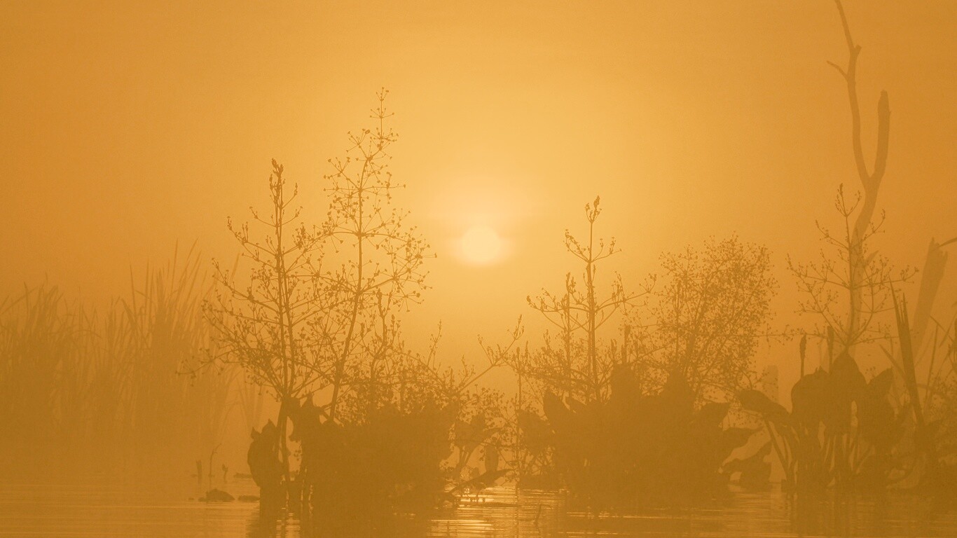Доисторическое утро обои
