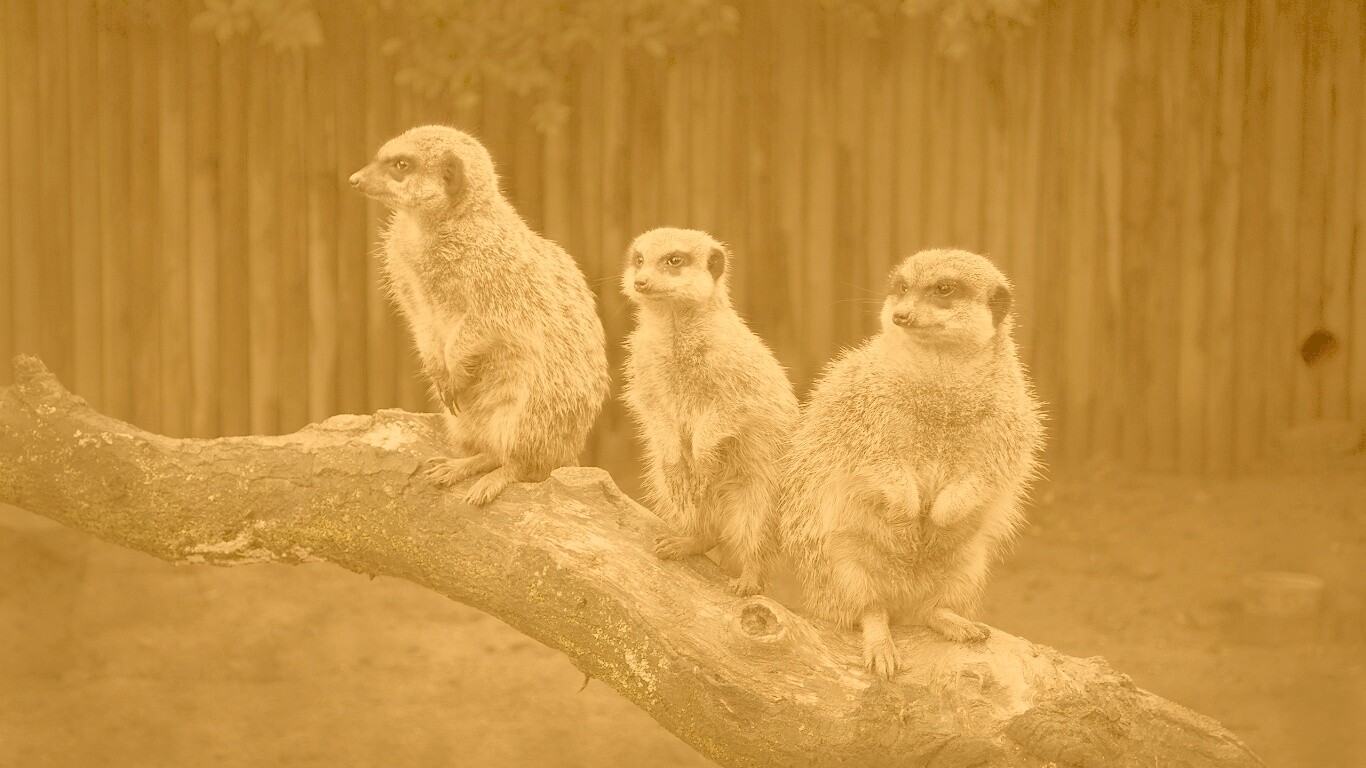 В дозоре обои