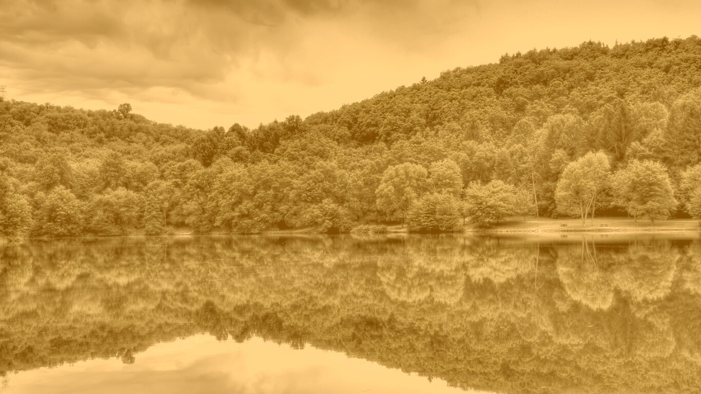 Лесной берег обои