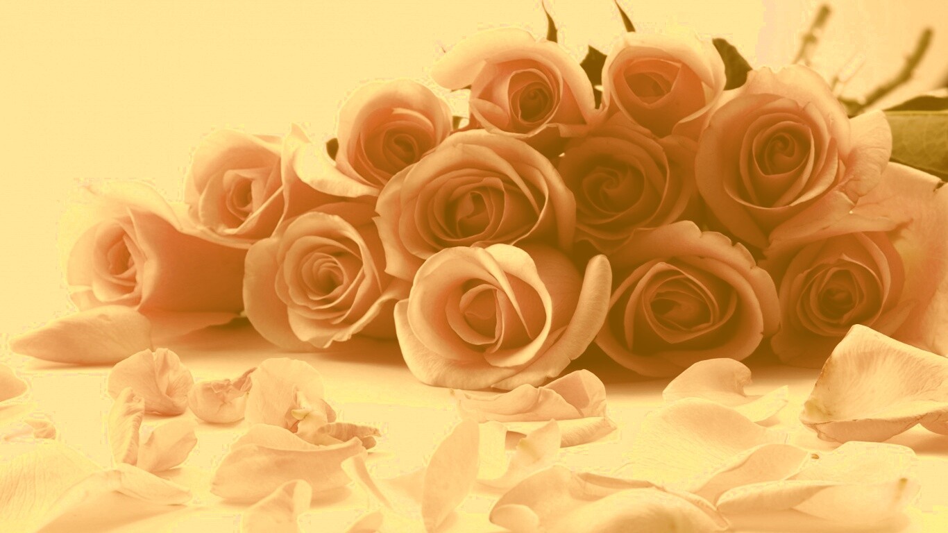 Букет роз обои