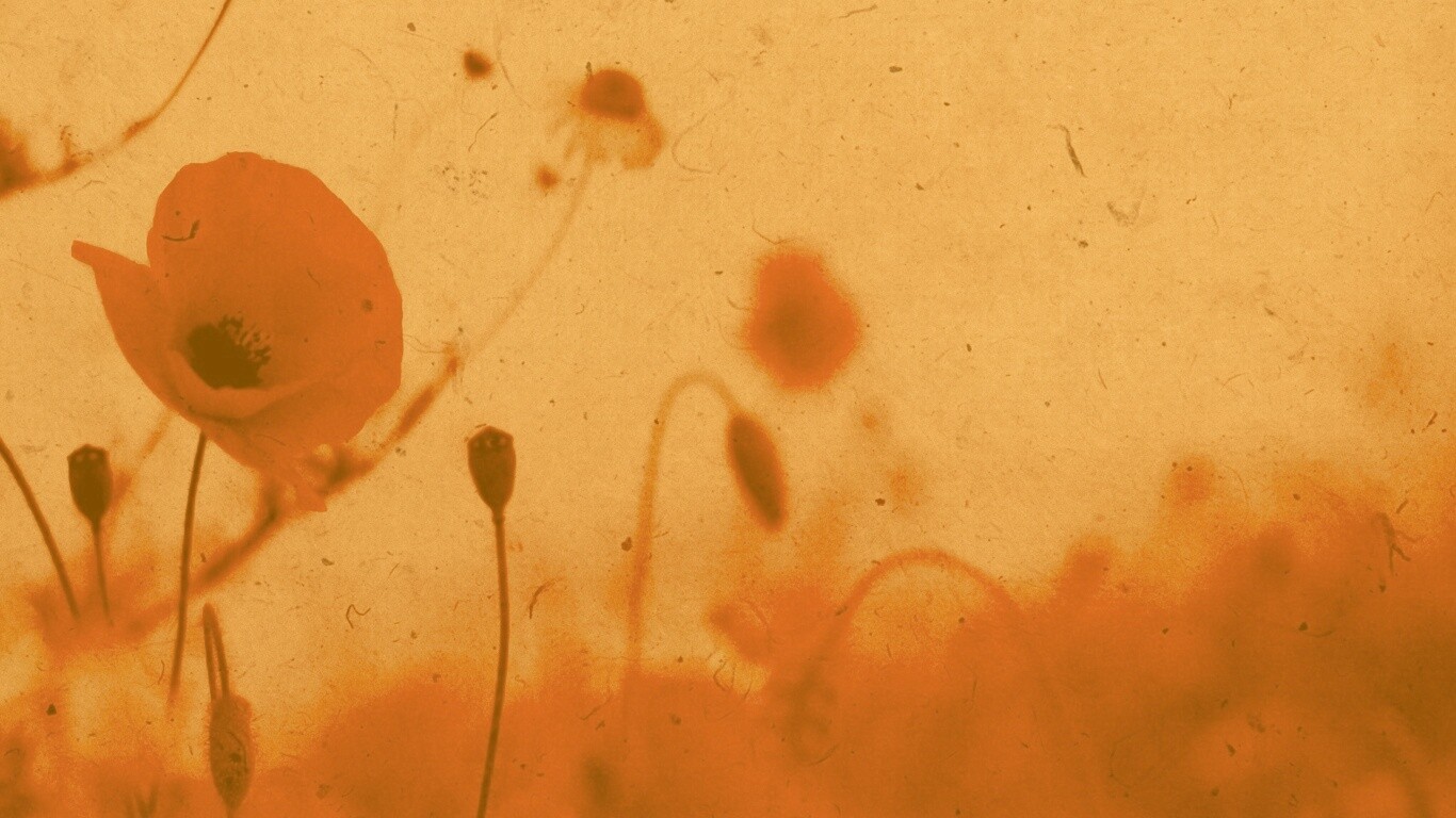 Кровавые цветы в стиле ретро обои