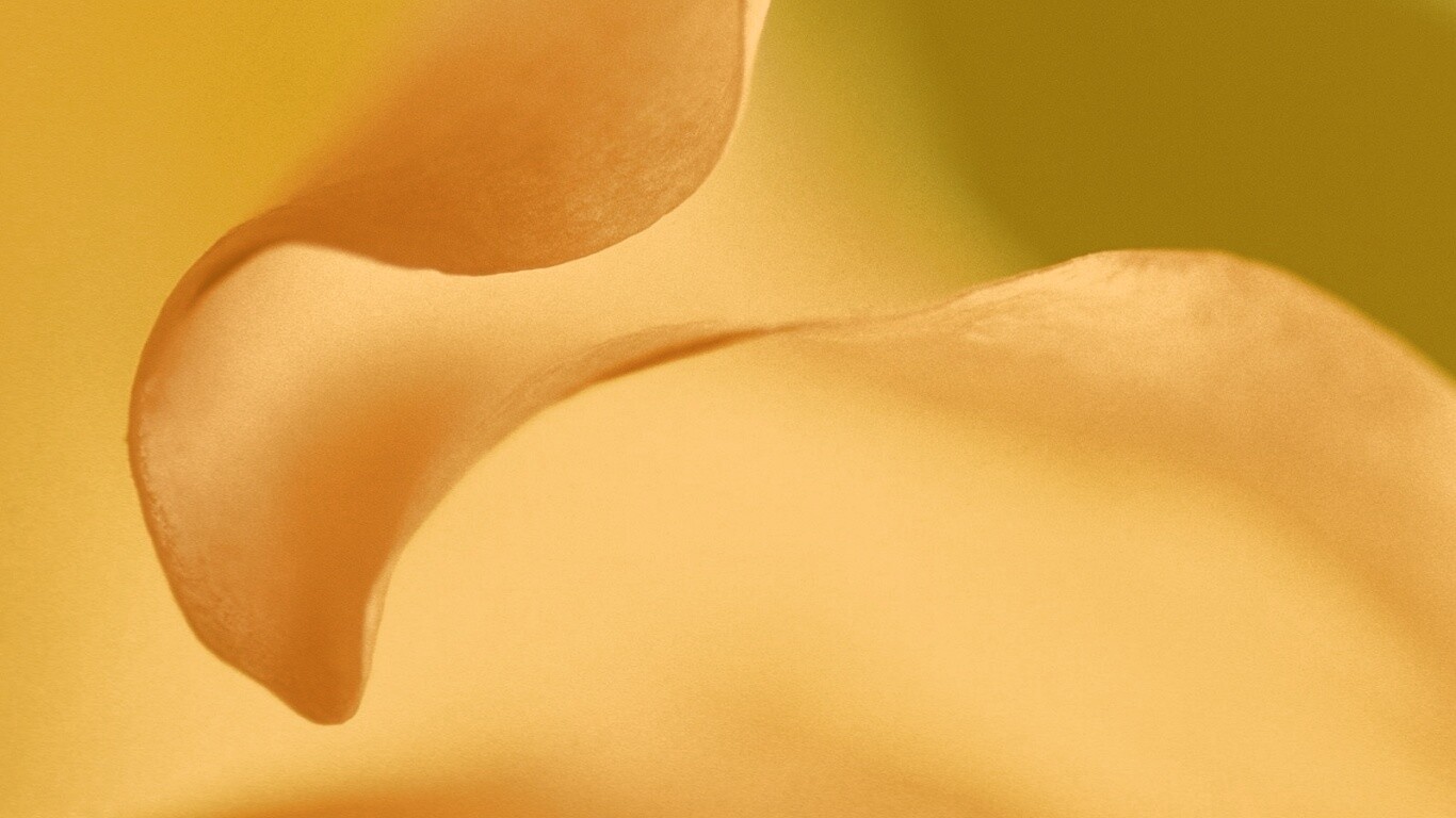 Оттенки природы обои