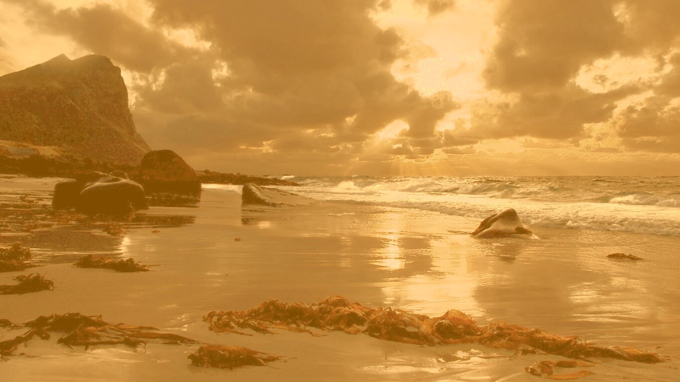 Океанский берег на закате обои