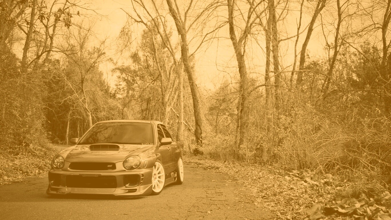 Субару Импреза на лесной дороге обои