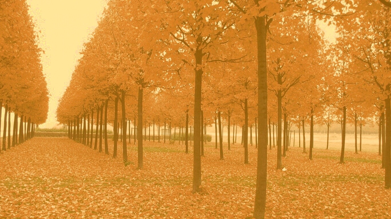 Скачать бесплатно осень обои