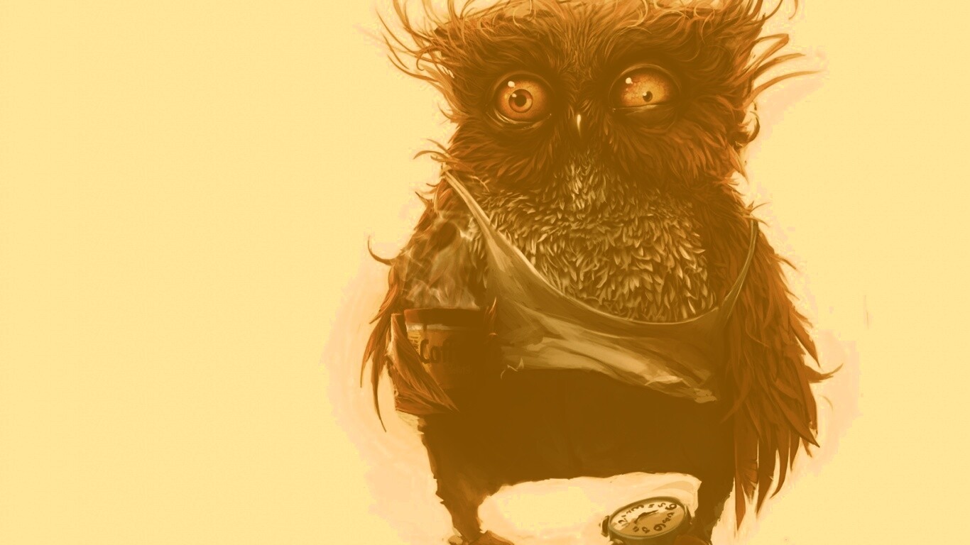 Не спящая сова обои