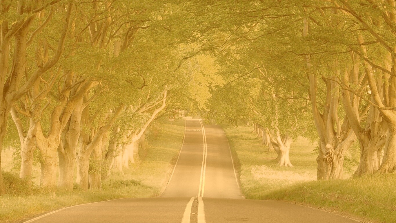 Дорога через лес обои