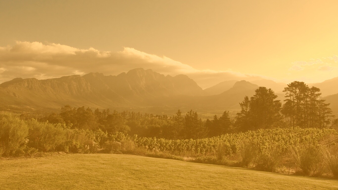 Виноградники в Африке обои