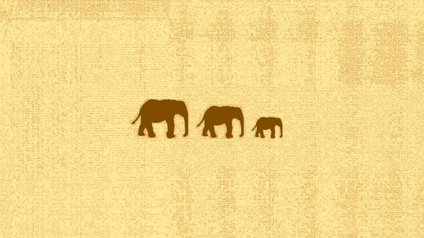 Вереница слонов обои