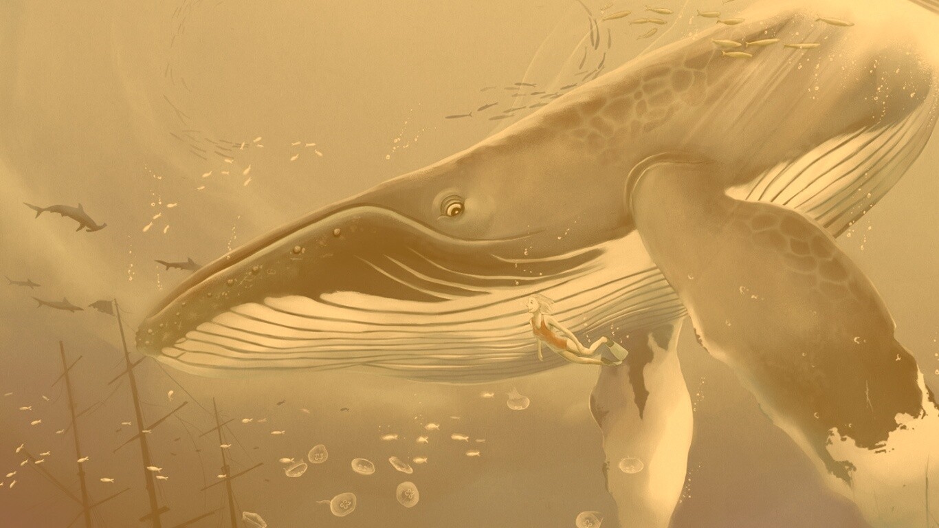 Кит и девушка обои