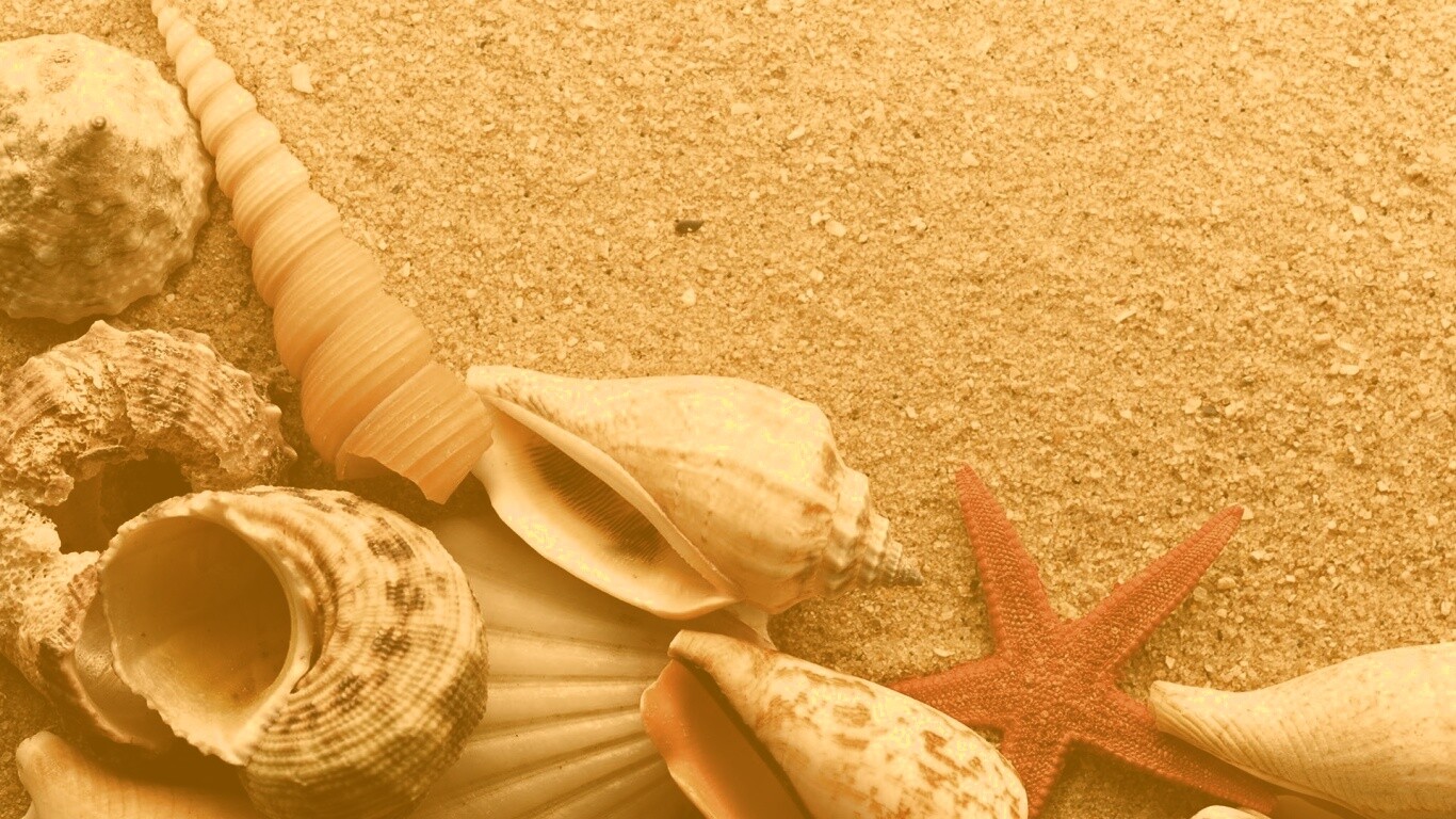 Морские раковины и звезды обои
