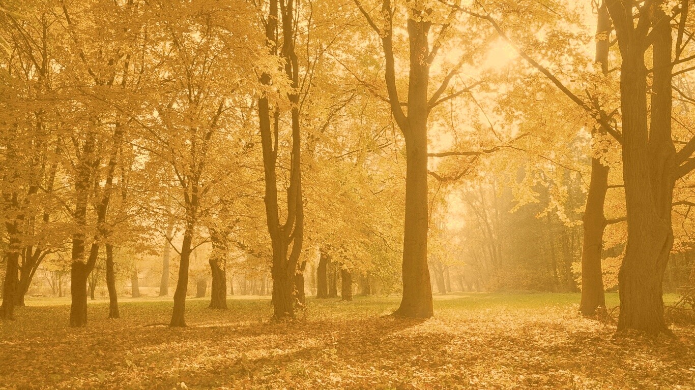Осенний листопад в парке обои